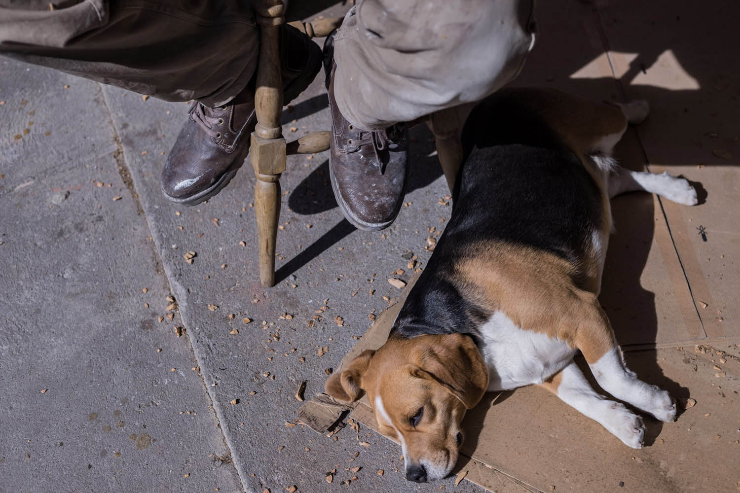 Kiss Nikoletta fotográfus fotográfus vizsgaremek 