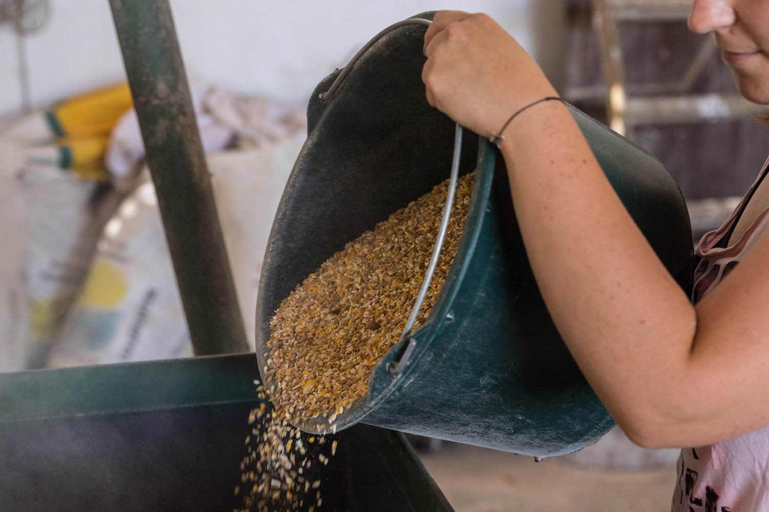 Kiss Nikoletta fotográfus fotográfus vizsgaremek 