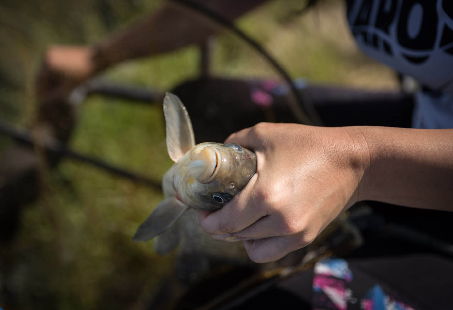 Kiss Nikoletta fotográfus fotográfus vizsgaremek 