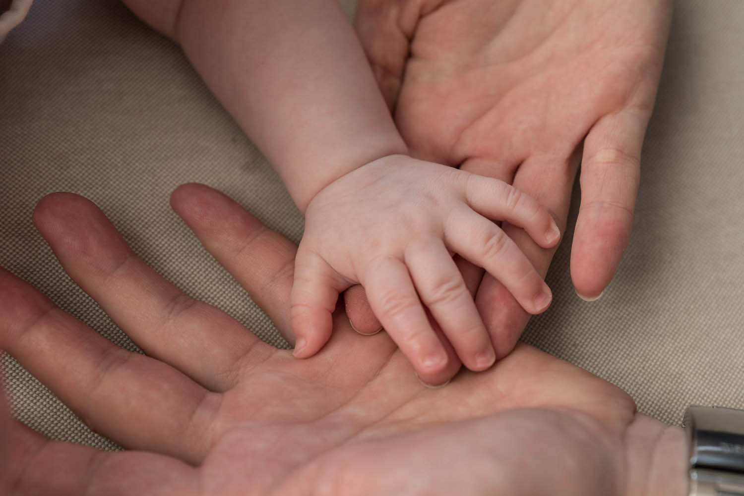 Lehrer Nándor fotográfus fotográfus vizsgaremek 