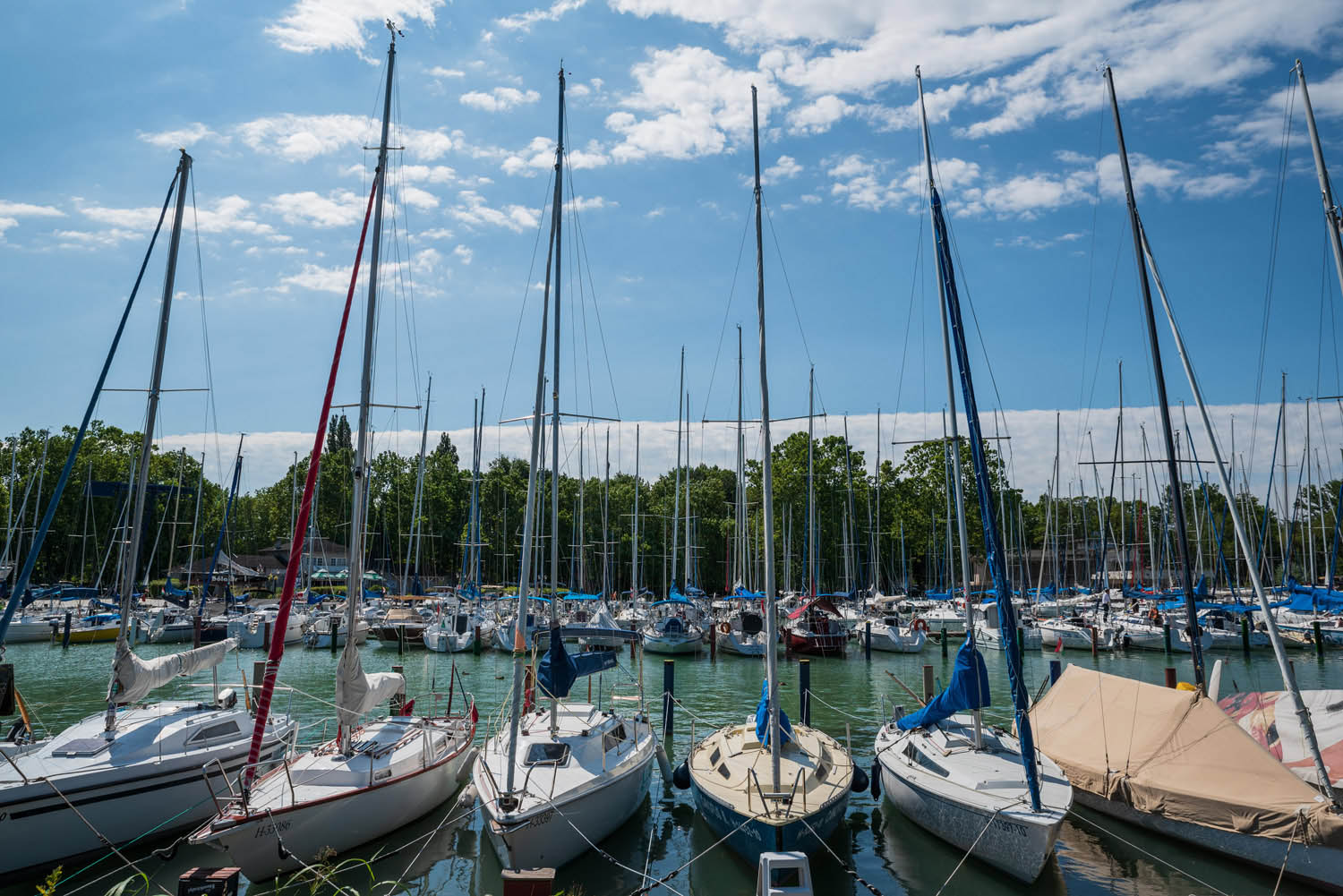 Lehrer Nándor fotográfus fotográfus vizsgaremek 