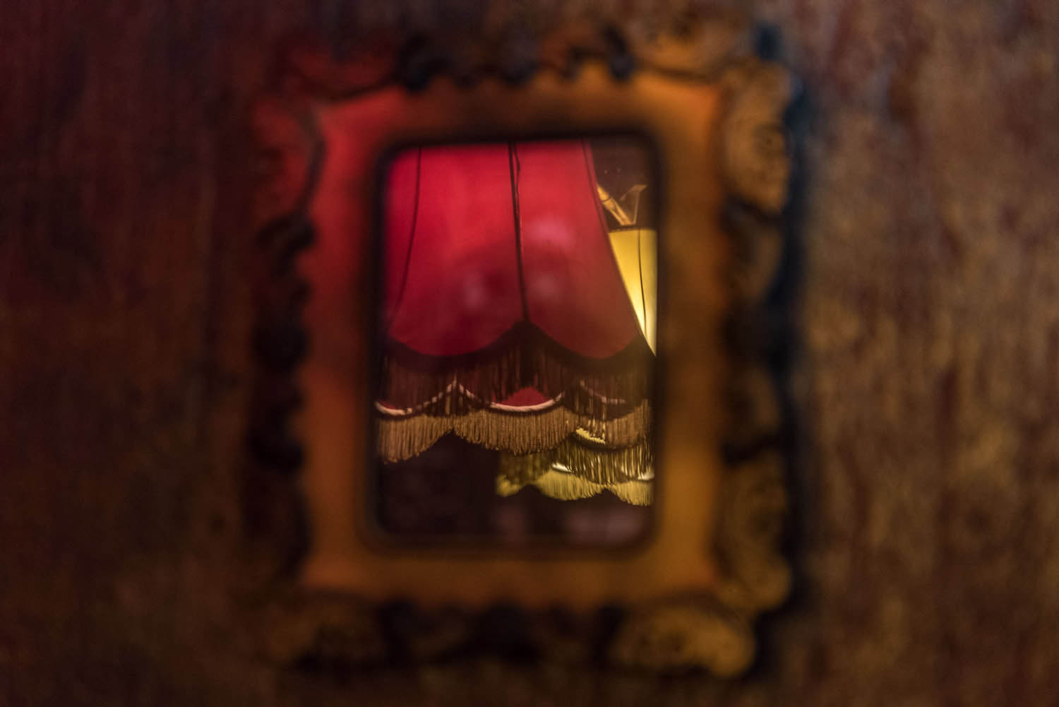 Lehrer Nándor fotográfus fotográfus vizsgaremek 