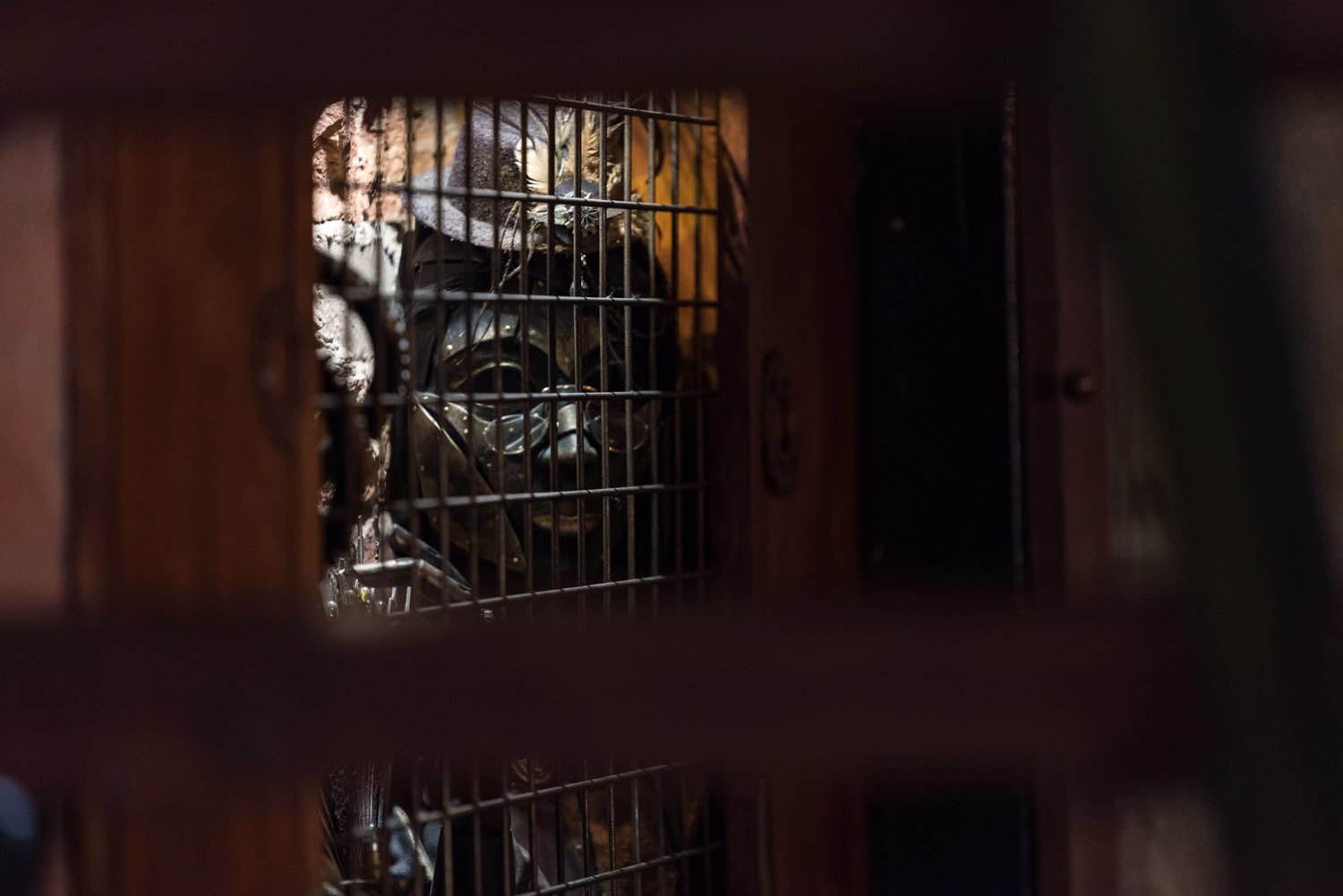 Lehrer Nándor fotográfus fotográfus vizsgaremek 