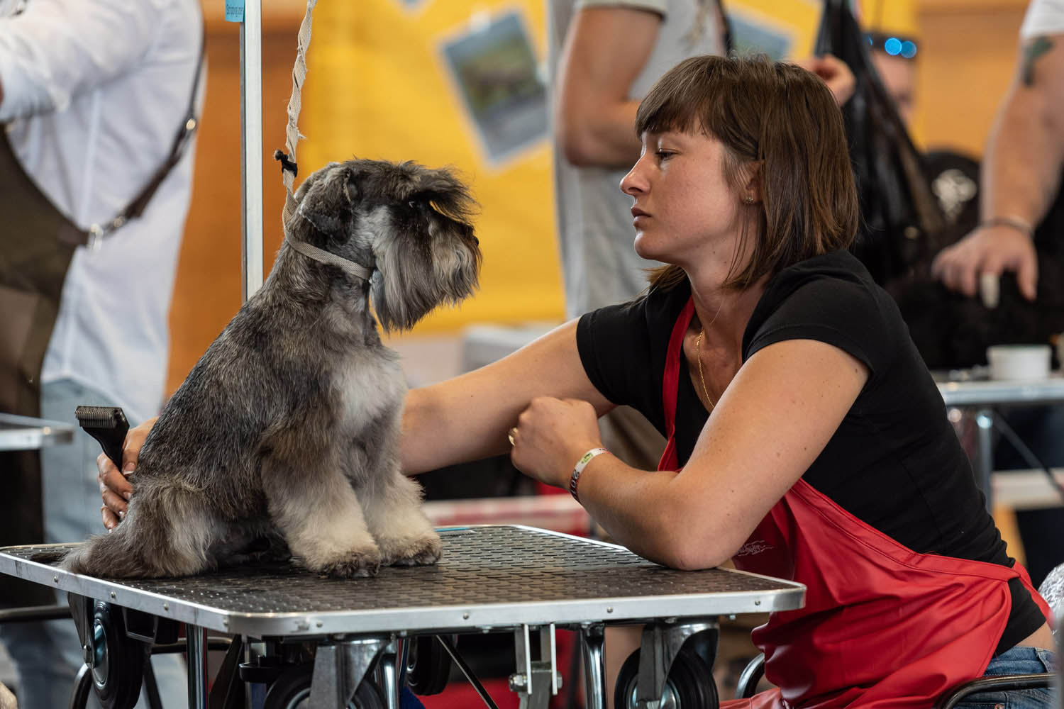 Lehrer Nándor fotográfus fotográfus vizsgaremek 
