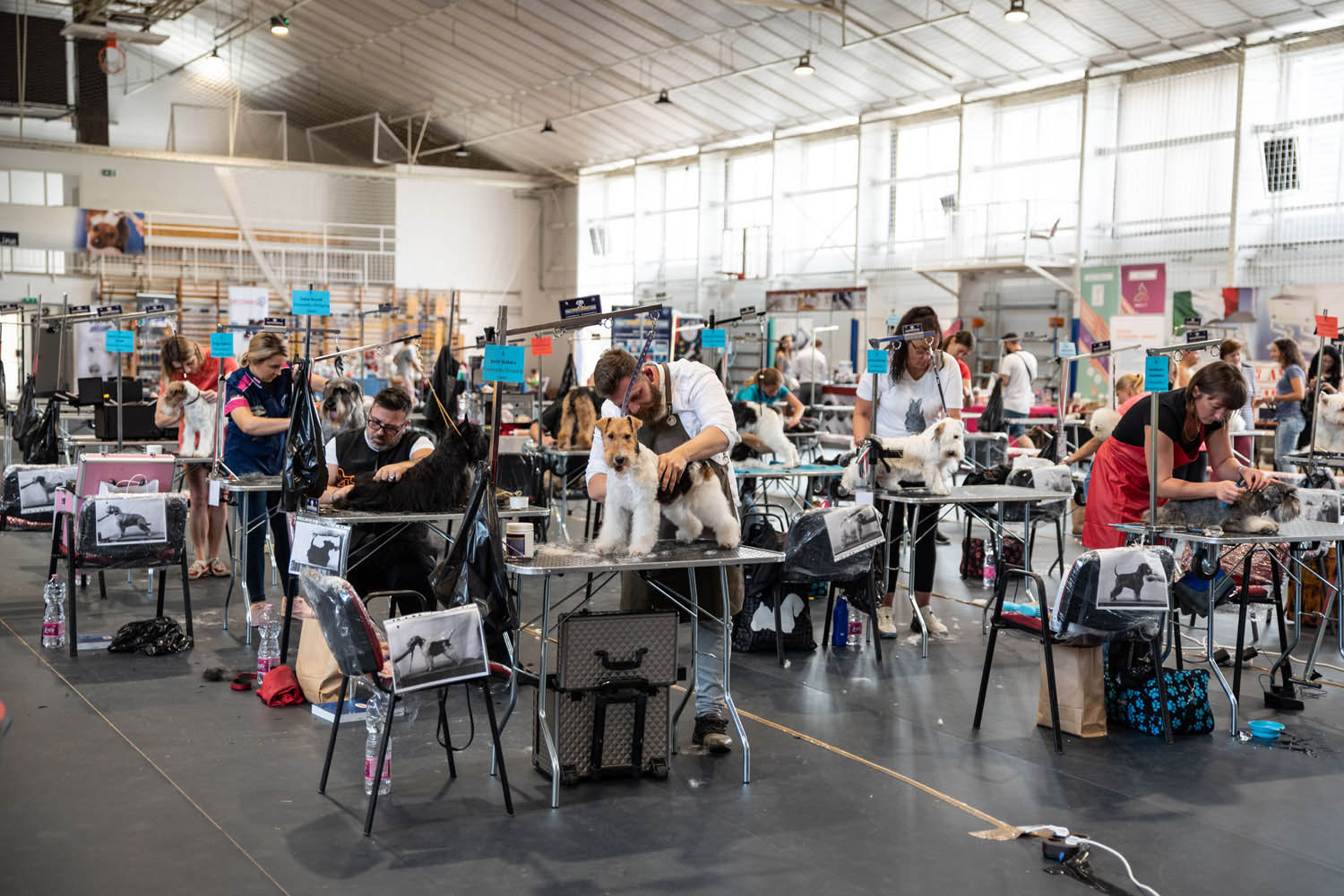 Lehrer Nándor fotográfus fotográfus vizsgaremek 