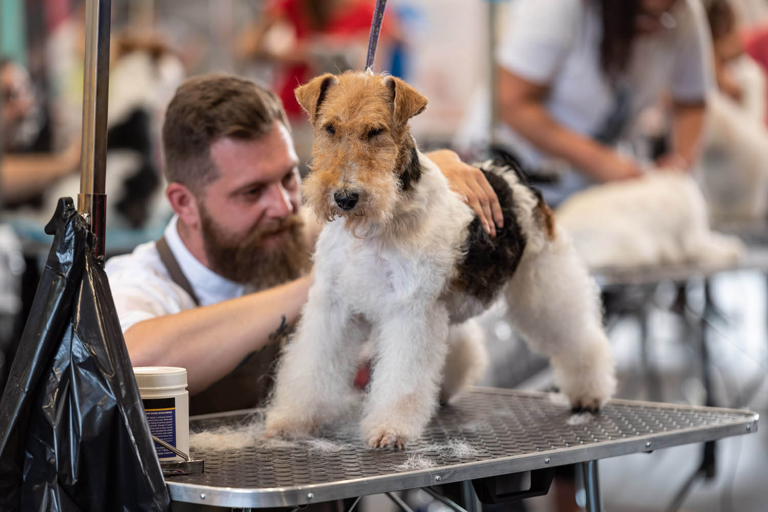 Lehrer Nándor fotográfus fotográfus vizsgaremek 