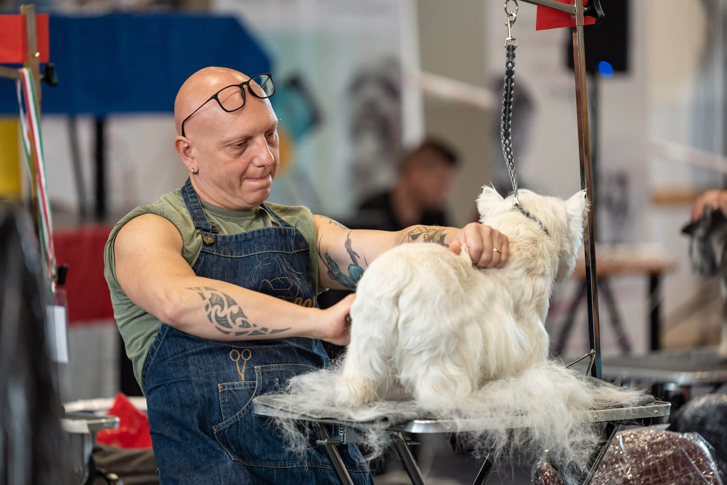 Lehrer Nándor fotográfus fotográfus vizsgaremek 
