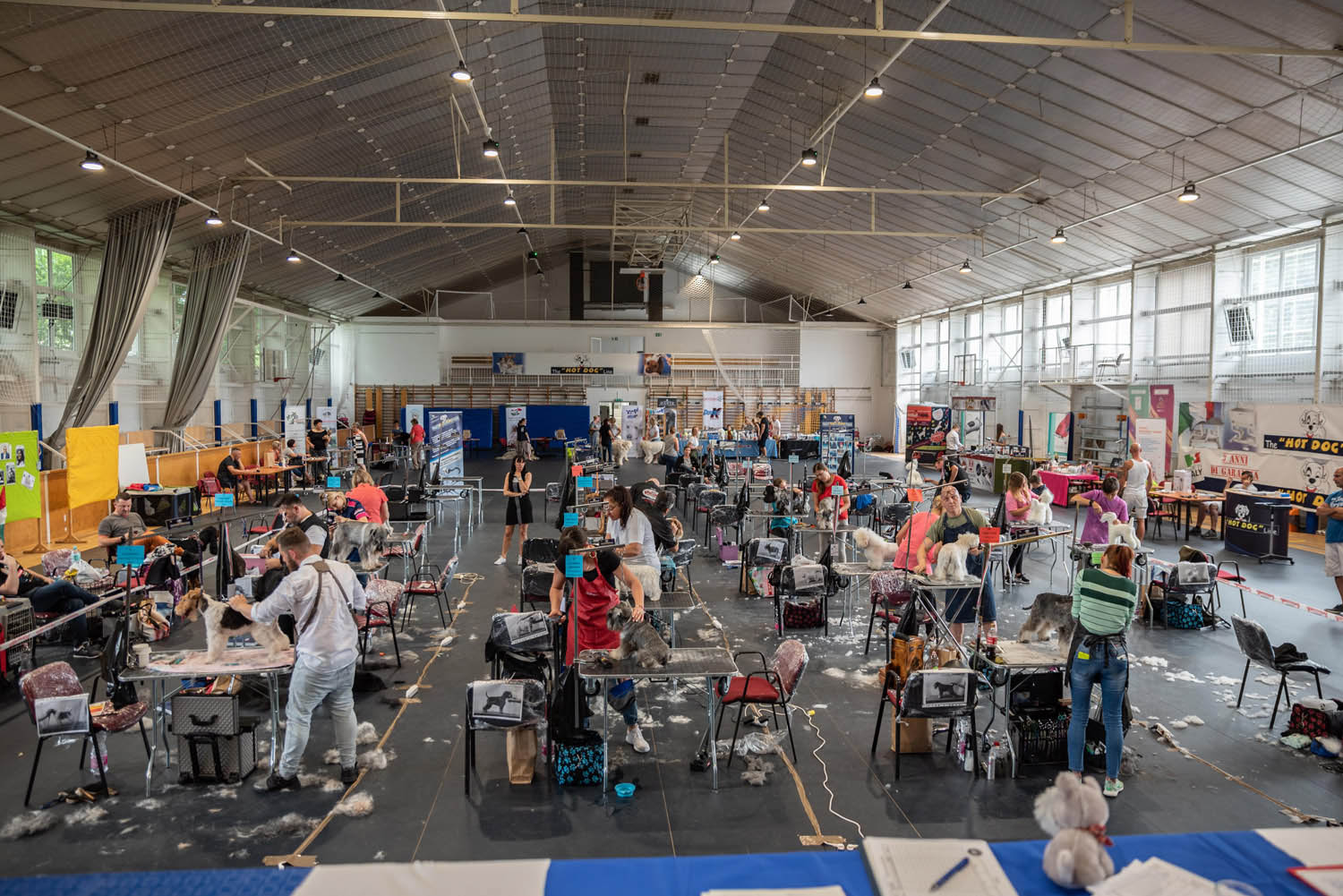 Lehrer Nándor fotográfus fotográfus vizsgaremek 