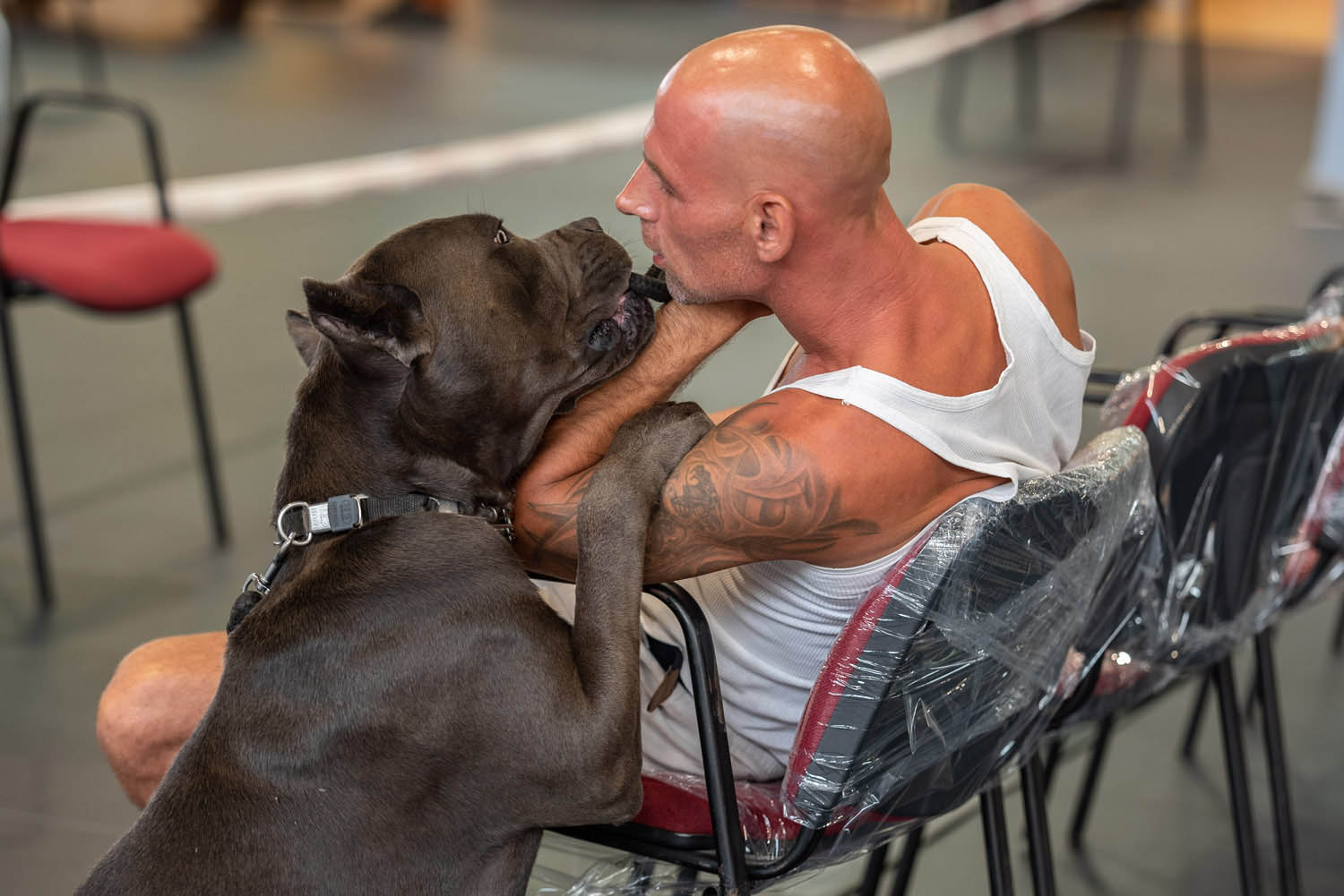 Lehrer Nándor fotográfus fotográfus vizsgaremek 