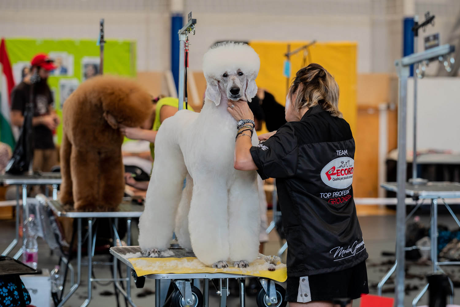 Lehrer Nándor fotográfus fotográfus vizsgaremek 