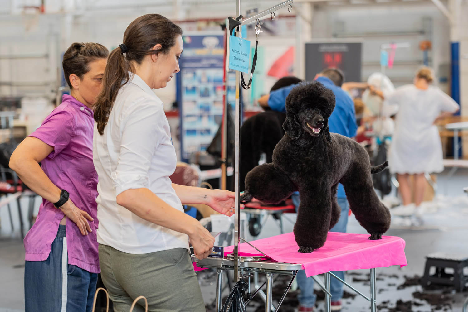 Lehrer Nándor fotográfus fotográfus vizsgaremek 
