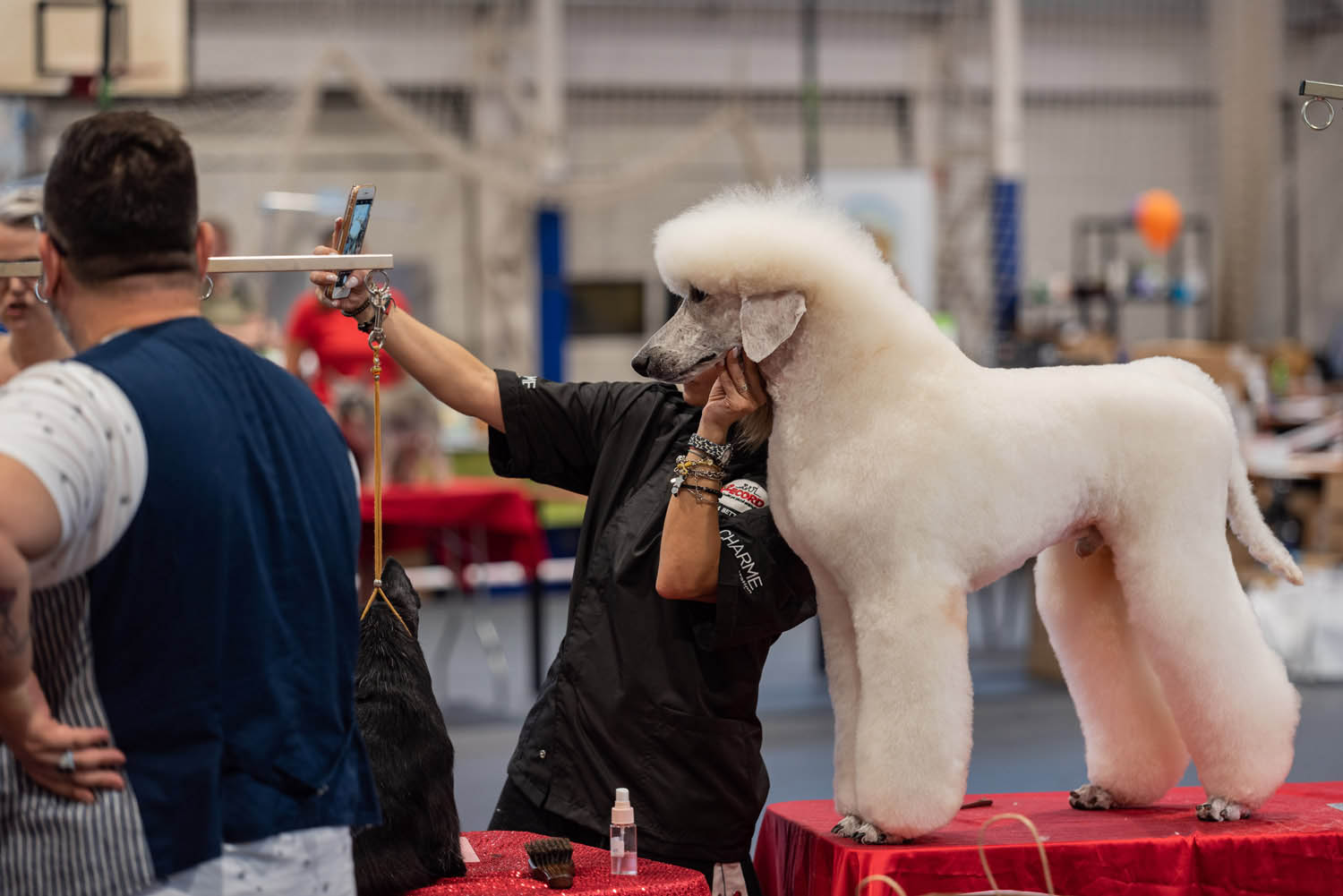 Lehrer Nándor fotográfus fotográfus vizsgaremek 