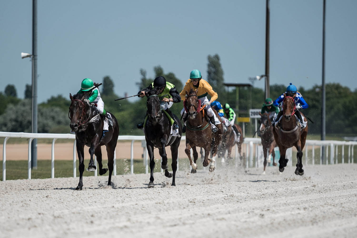 Lehrer Nándor fotográfus fotográfus vizsgaremek 