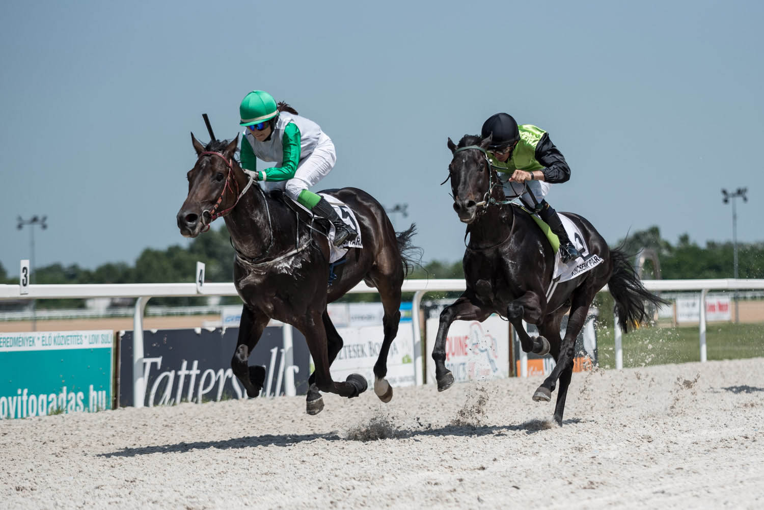 Lehrer Nándor fotográfus fotográfus vizsgaremek 