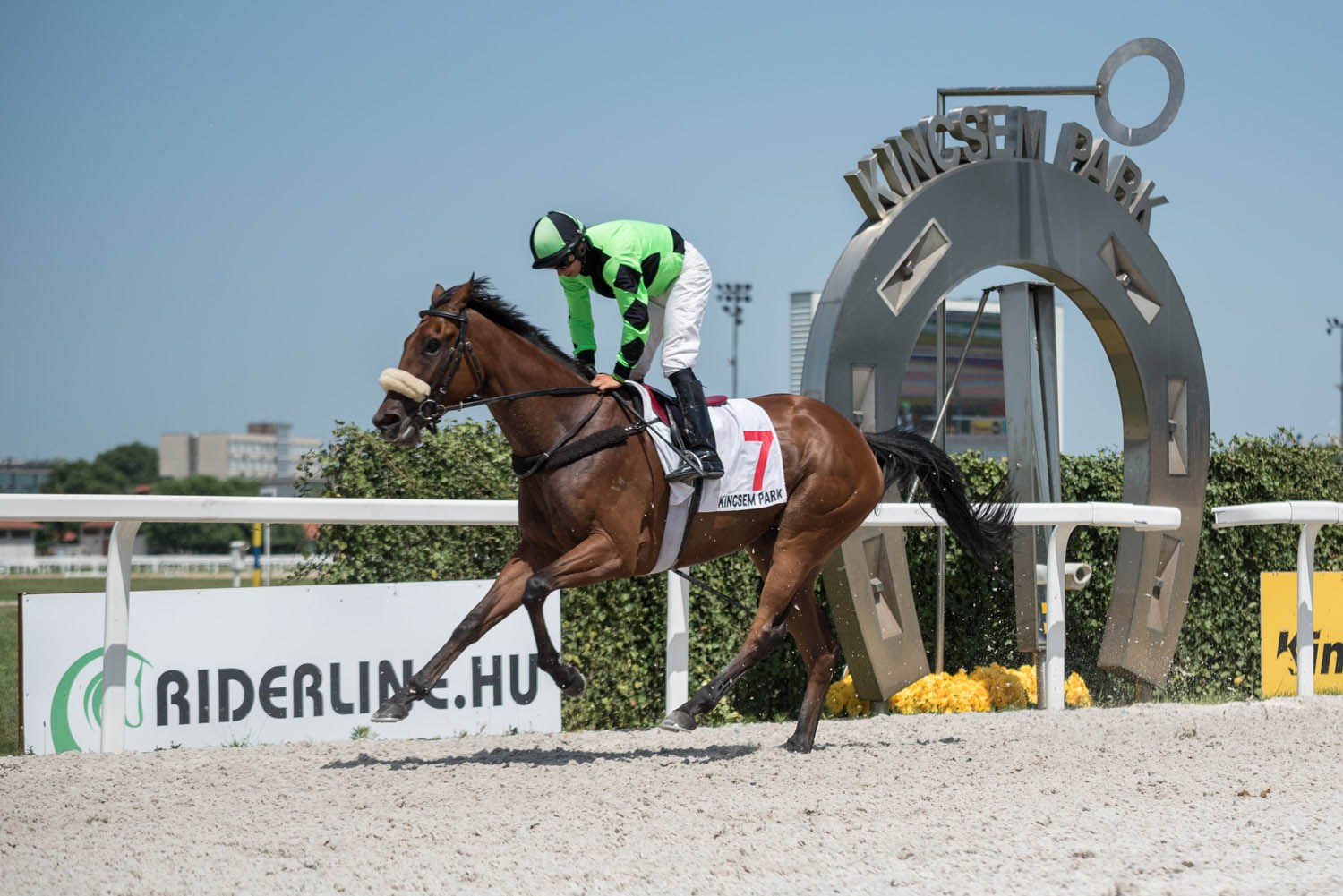Lehrer Nándor fotográfus fotográfus vizsgaremek 