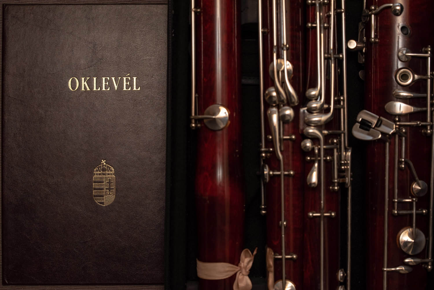 Lehrer Nándor fotográfus fotográfus vizsgaremek 