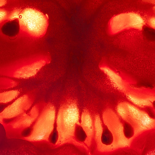 Magyar László fotográfus fotográfus OKJ