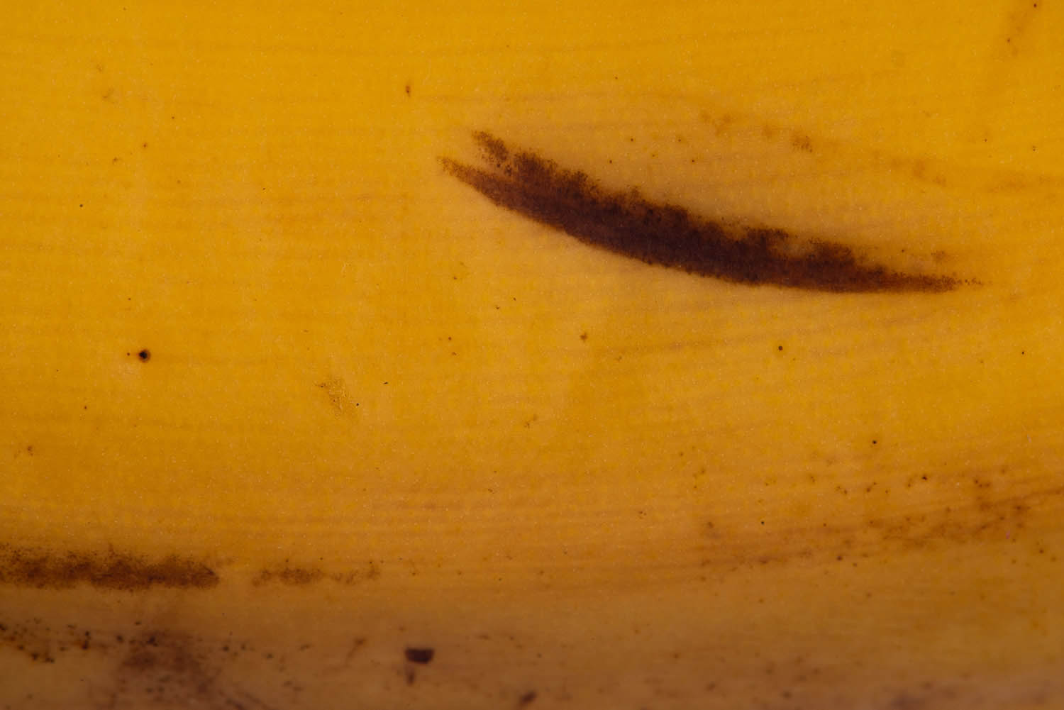 Magyar László fotográfus fotográfus vizsgaremek 