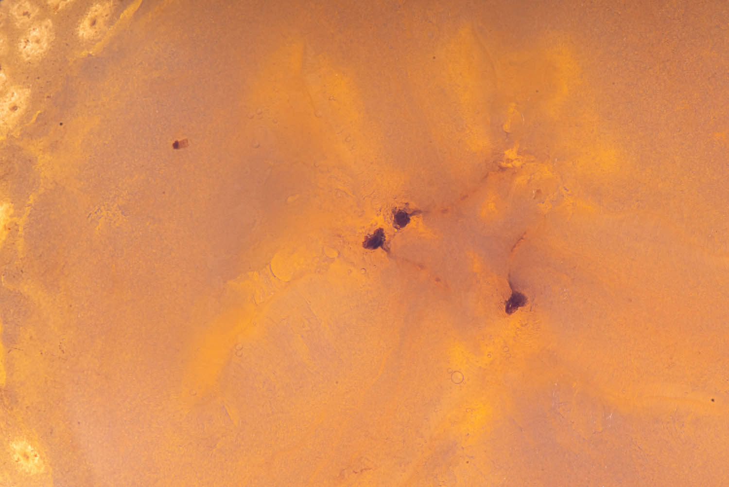 Magyar László fotográfus fotográfus vizsgaremek 