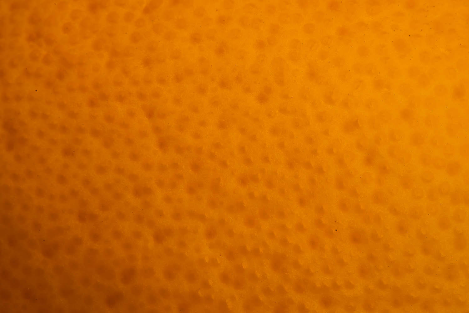 Magyar László fotográfus fotográfus vizsgaremek 