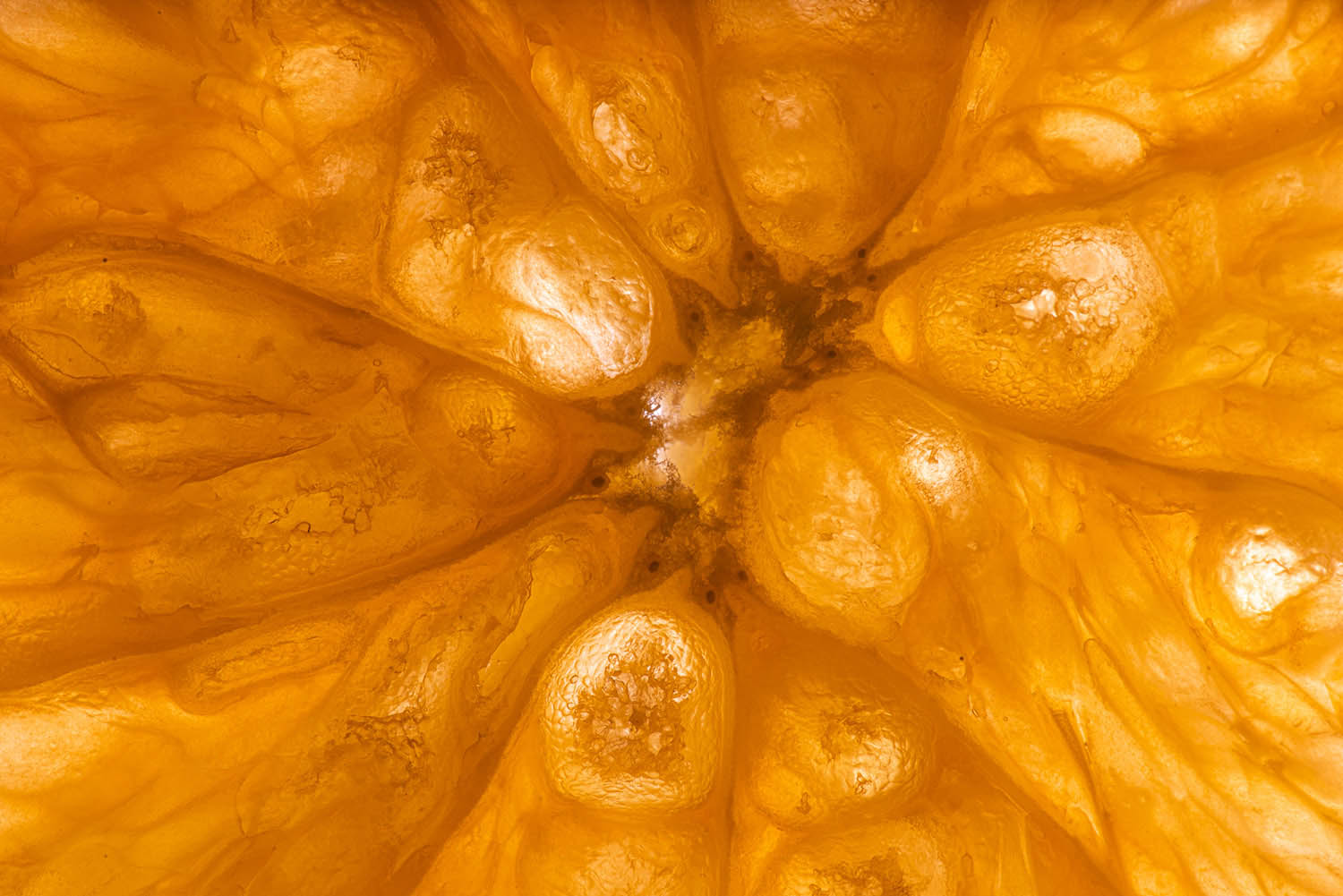 Magyar László fotográfus fotográfus vizsgaremek 