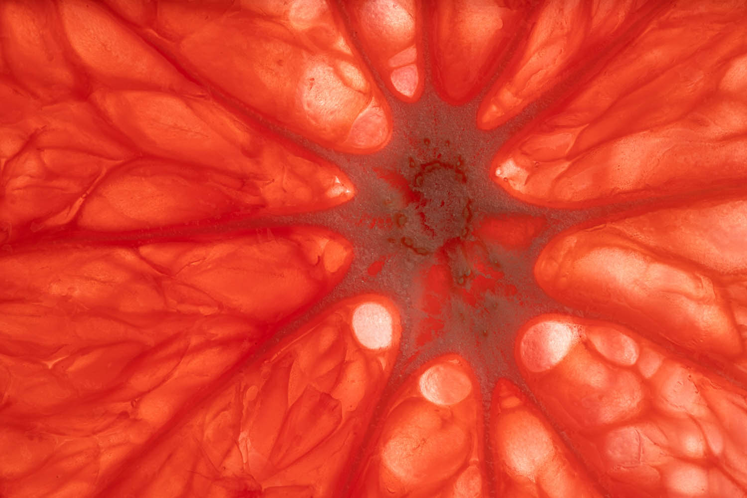 Magyar László fotográfus fotográfus vizsgaremek 