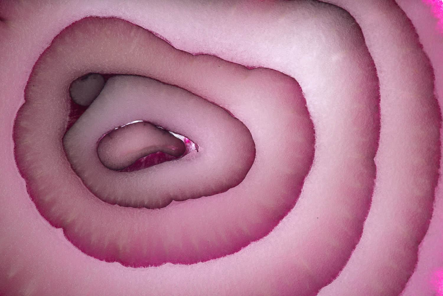 Magyar László fotográfus fotográfus vizsgaremek 