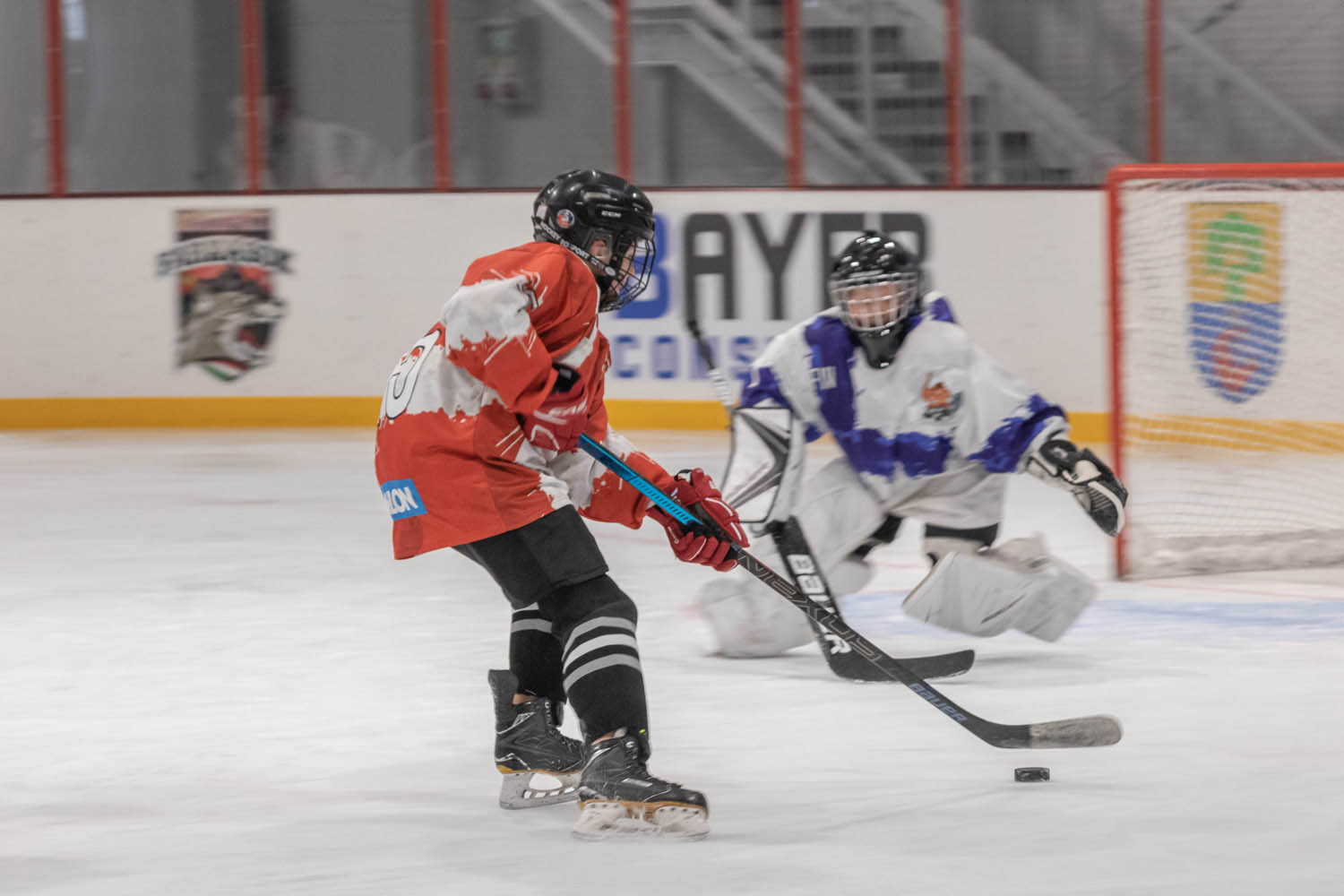 Palancsa Péter fotográfus fotográfus vizsgaremek 