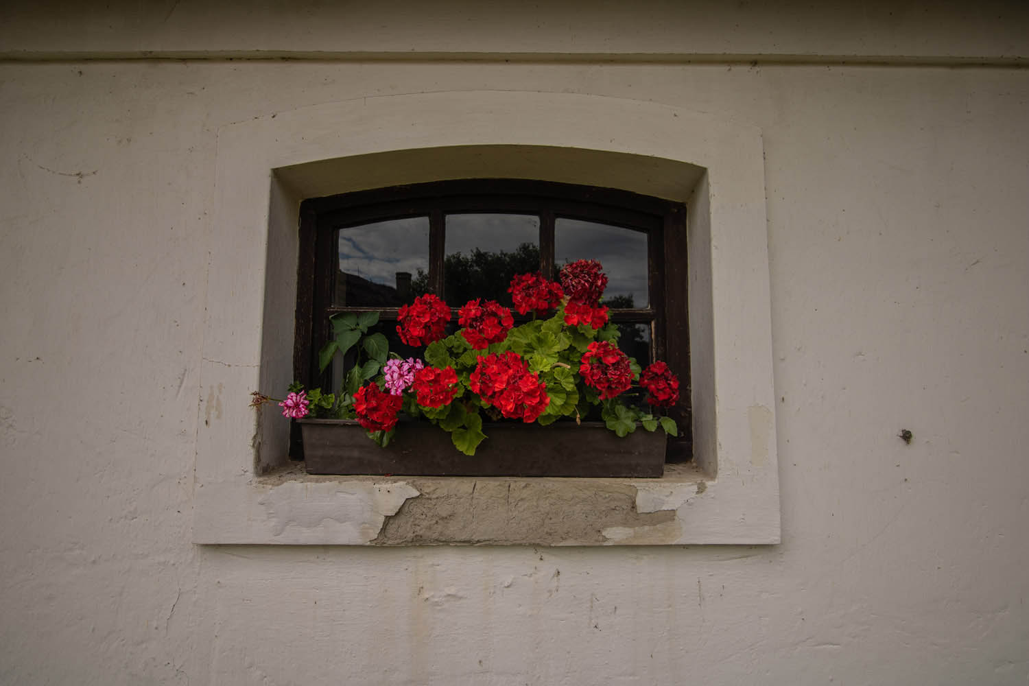 Palancsa Péter fotográfus fotográfus vizsgaremek 