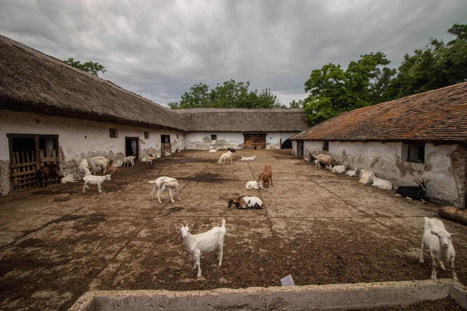 Palancsa Péter fotográfus fotográfus vizsgaremek 