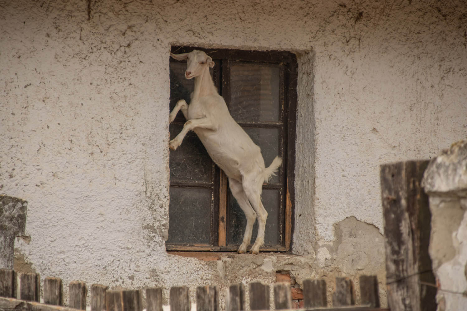 Palancsa Péter fotográfus fotográfus vizsgaremek 