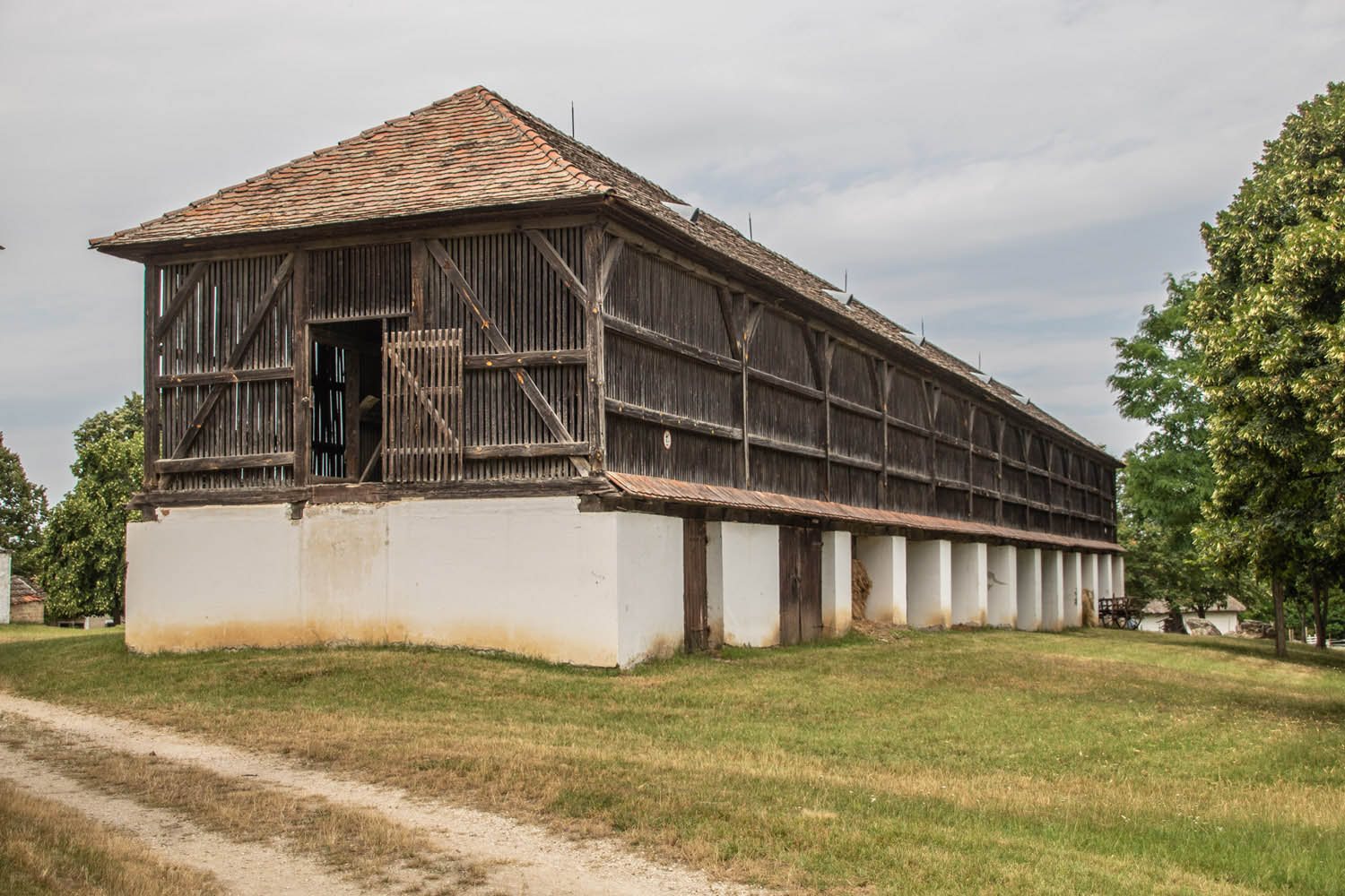 Palancsa Péter fotográfus fotográfus vizsgaremek 