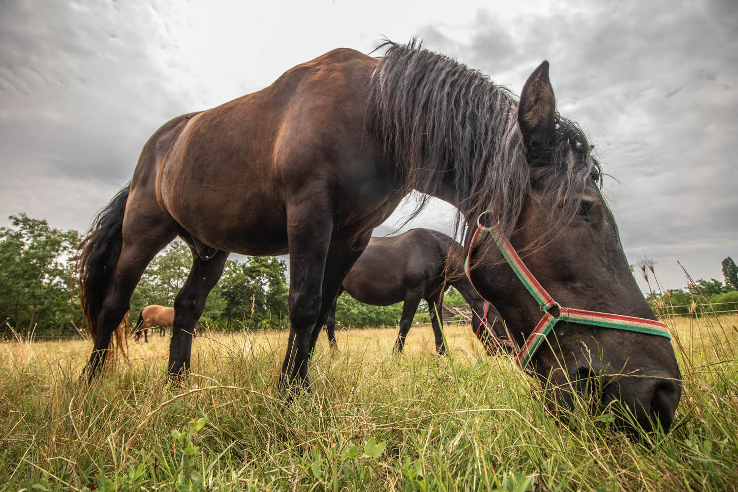 Palancsa Péter fotográfus fotográfus vizsgaremek 