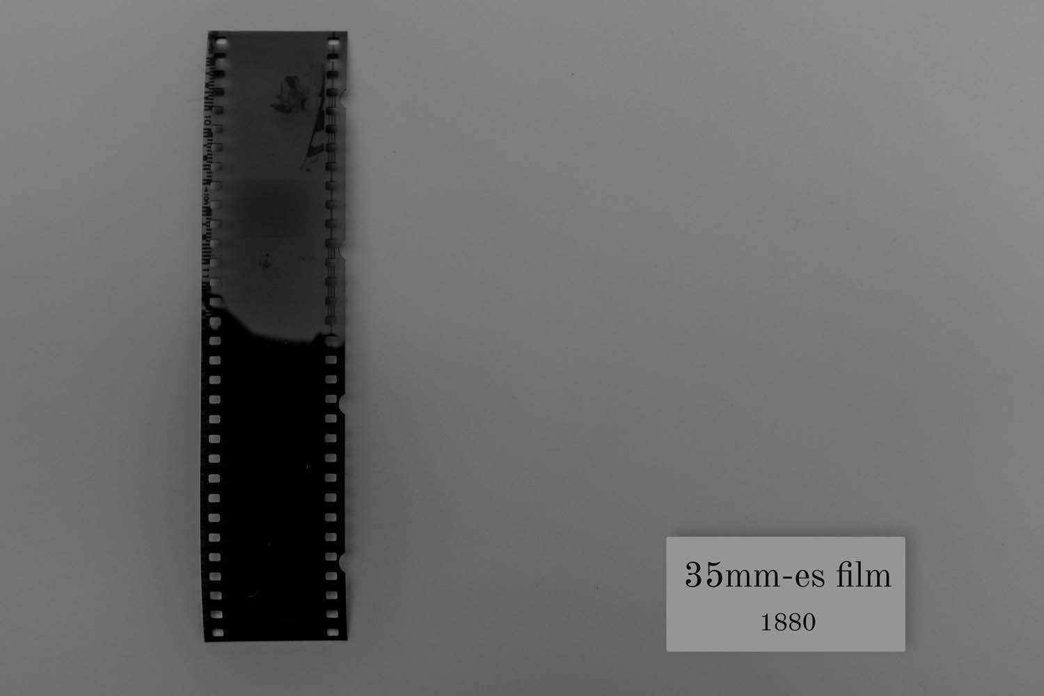 Palancsa Péter fotográfus fotográfus vizsgaremek 