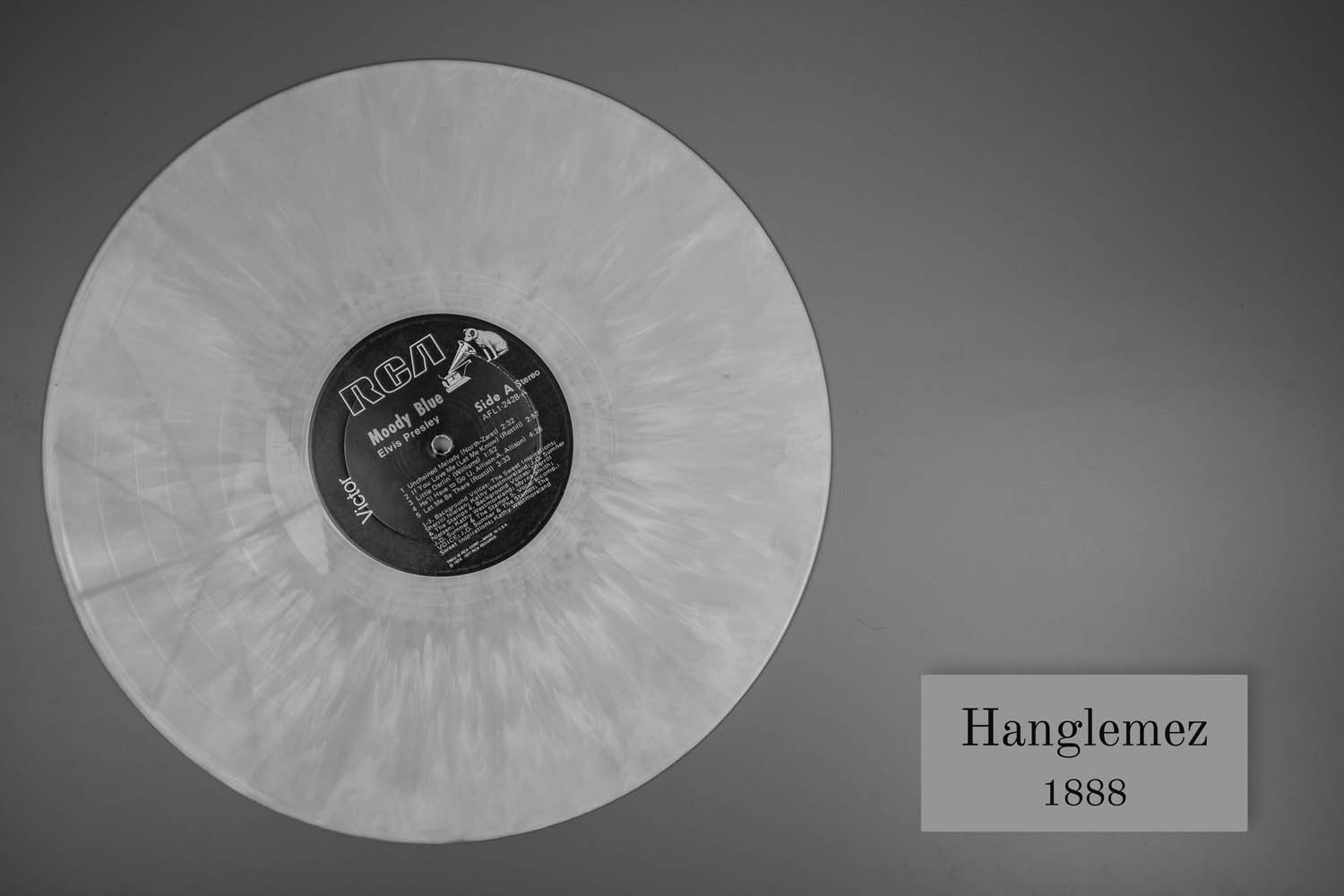 Palancsa Péter fotográfus fotográfus vizsgaremek 