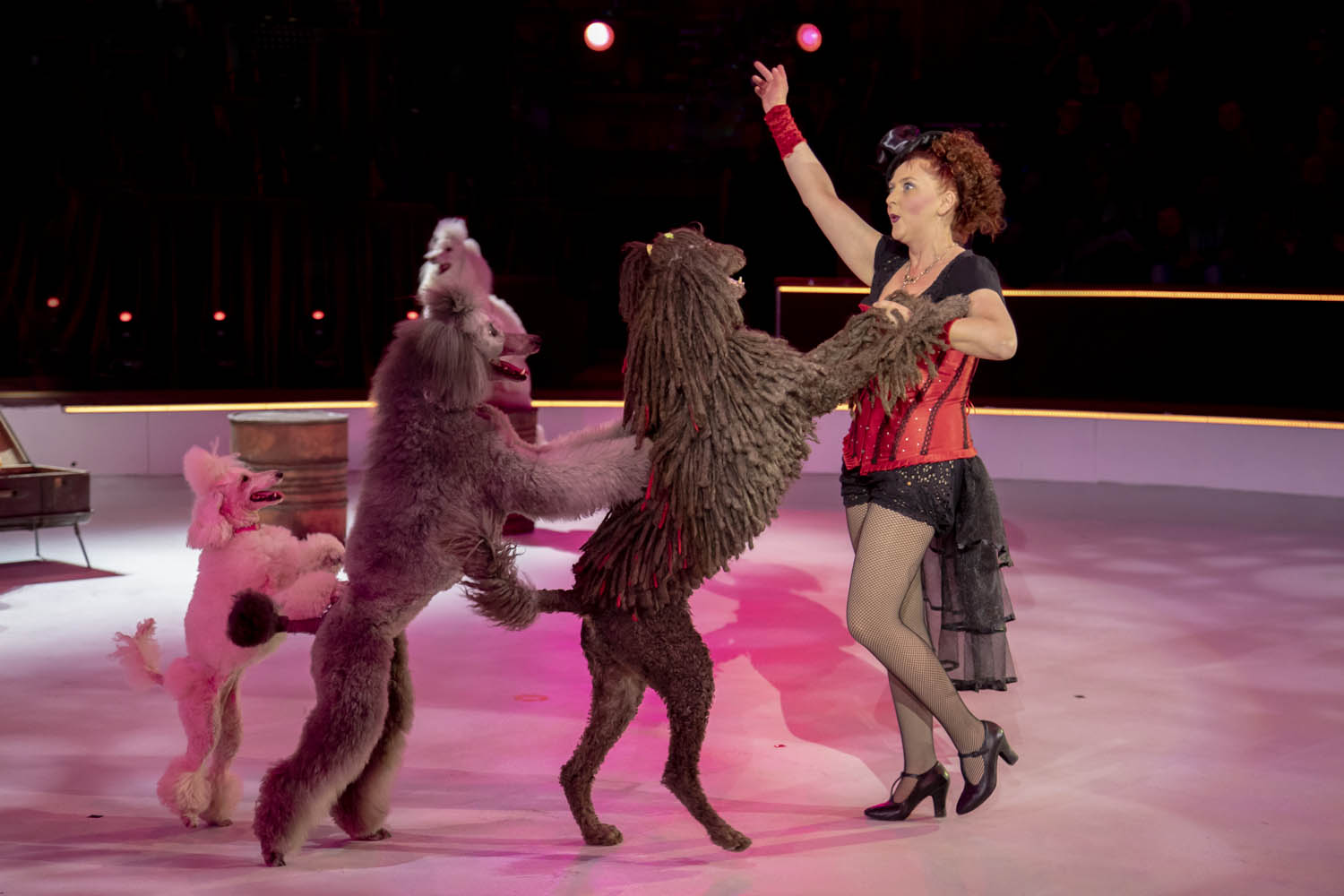 Szeles-Tiszolczi Lilla fotográfus fotográfus vizsgaremek 