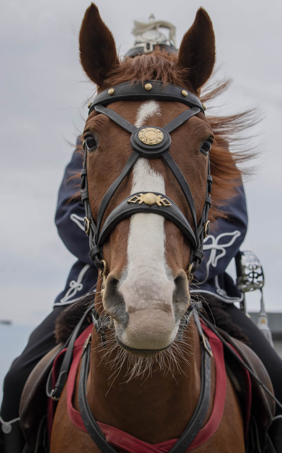 Szeles-Tiszolczi Lilla fotográfus fotográfus vizsgaremek 