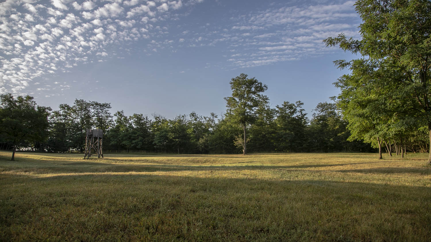 Szeles-Tiszolczi Lilla fotográfus fotográfus vizsgaremek 