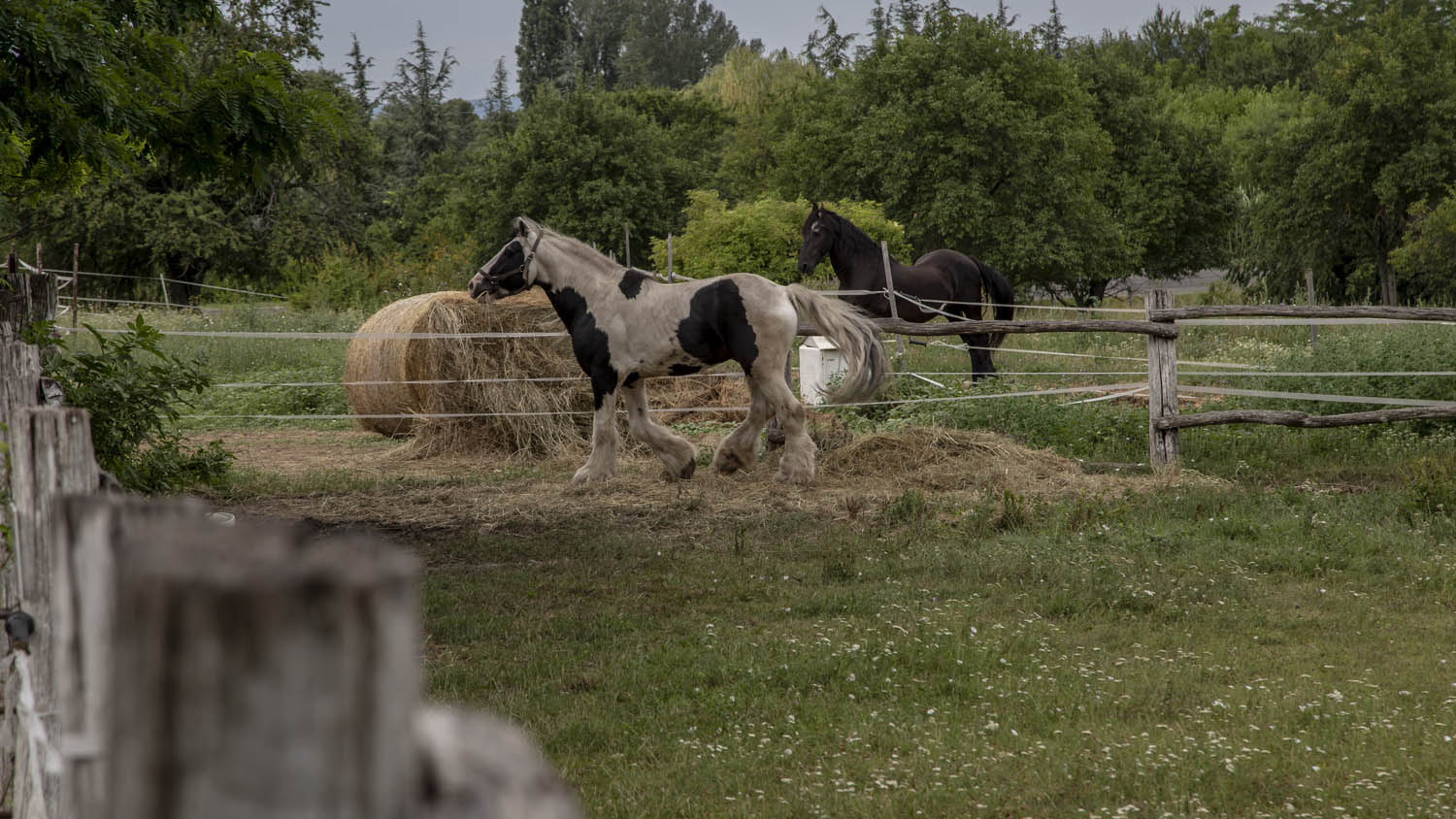 Szeles-Tiszolczi Lilla fotográfus fotográfus vizsgaremek 