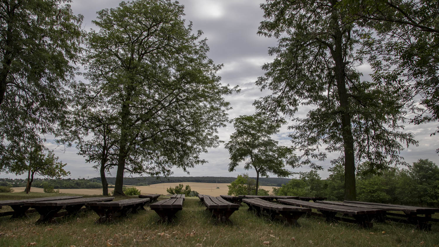 Szeles-Tiszolczi Lilla fotográfus fotográfus vizsgaremek 