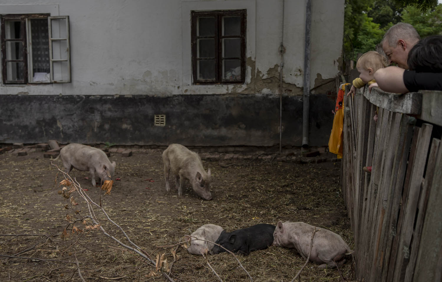 Szeles-Tiszolczi Lilla fotográfus fotográfus vizsgaremek 