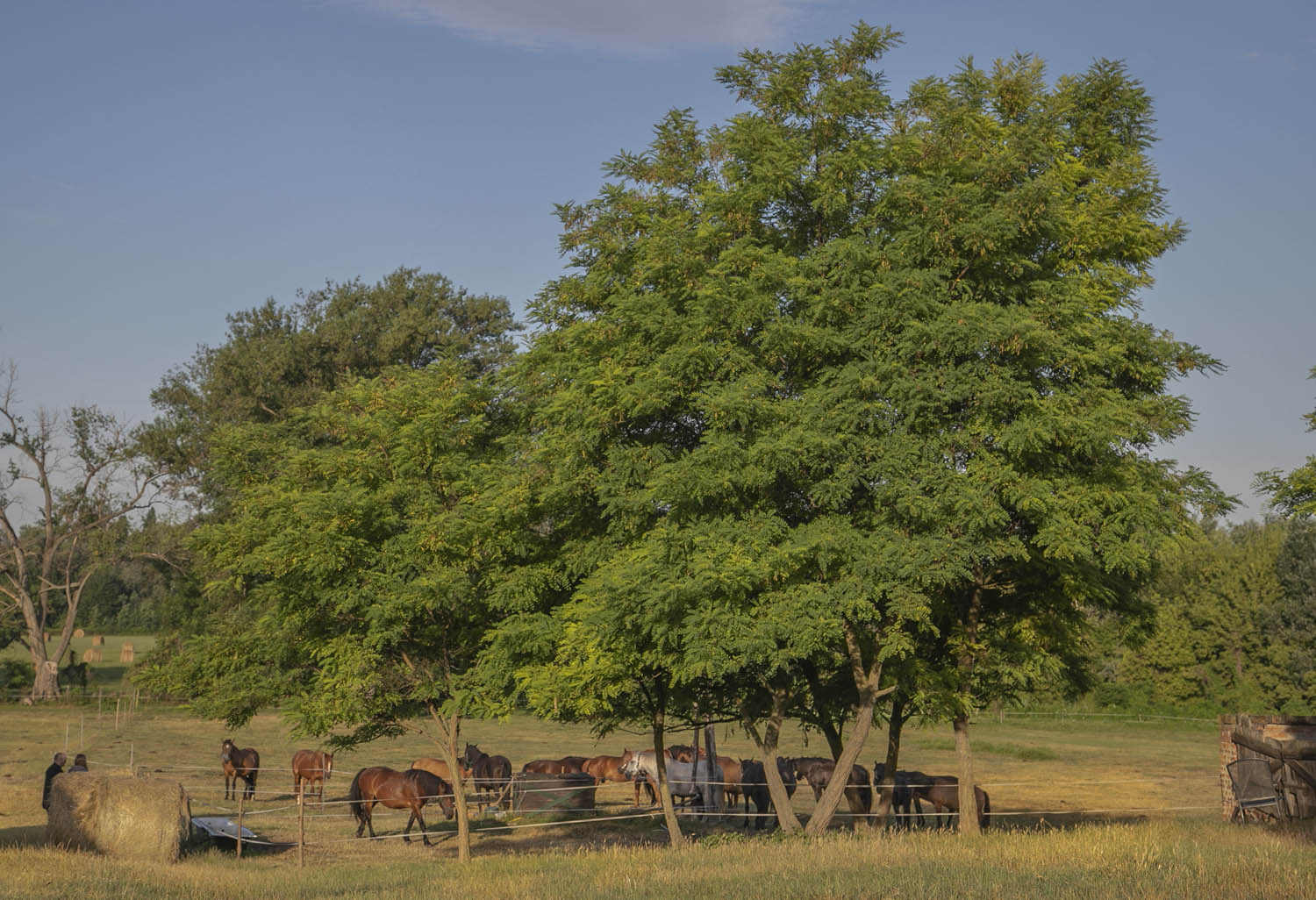Szeles-Tiszolczi Lilla fotográfus fotográfus vizsgaremek 