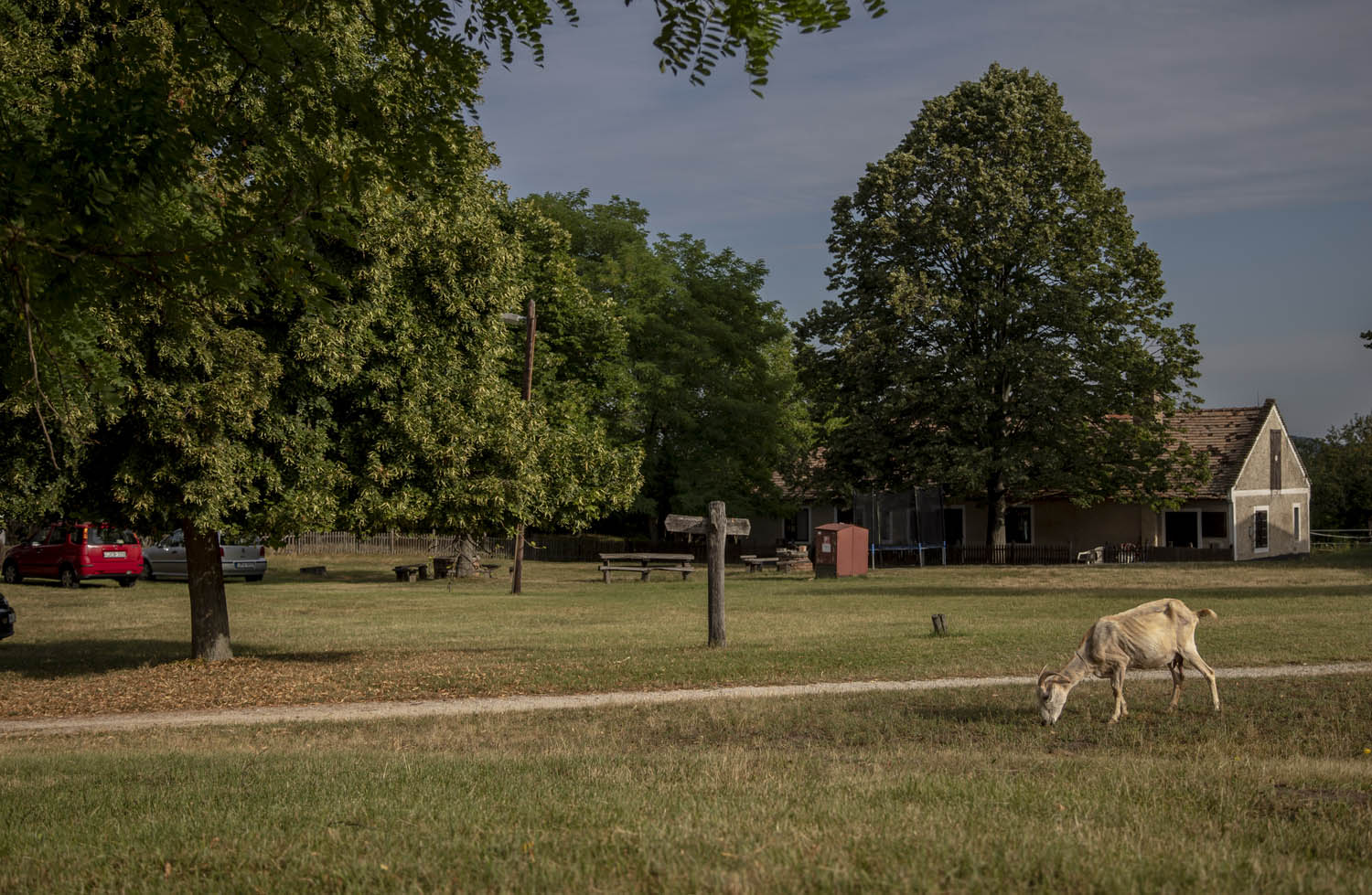 Szeles-Tiszolczi Lilla fotográfus fotográfus vizsgaremek 