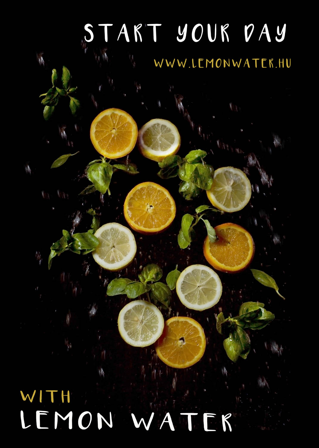 Szeles-Tiszolczi Lilla fotográfus fotográfus vizsgaremek 