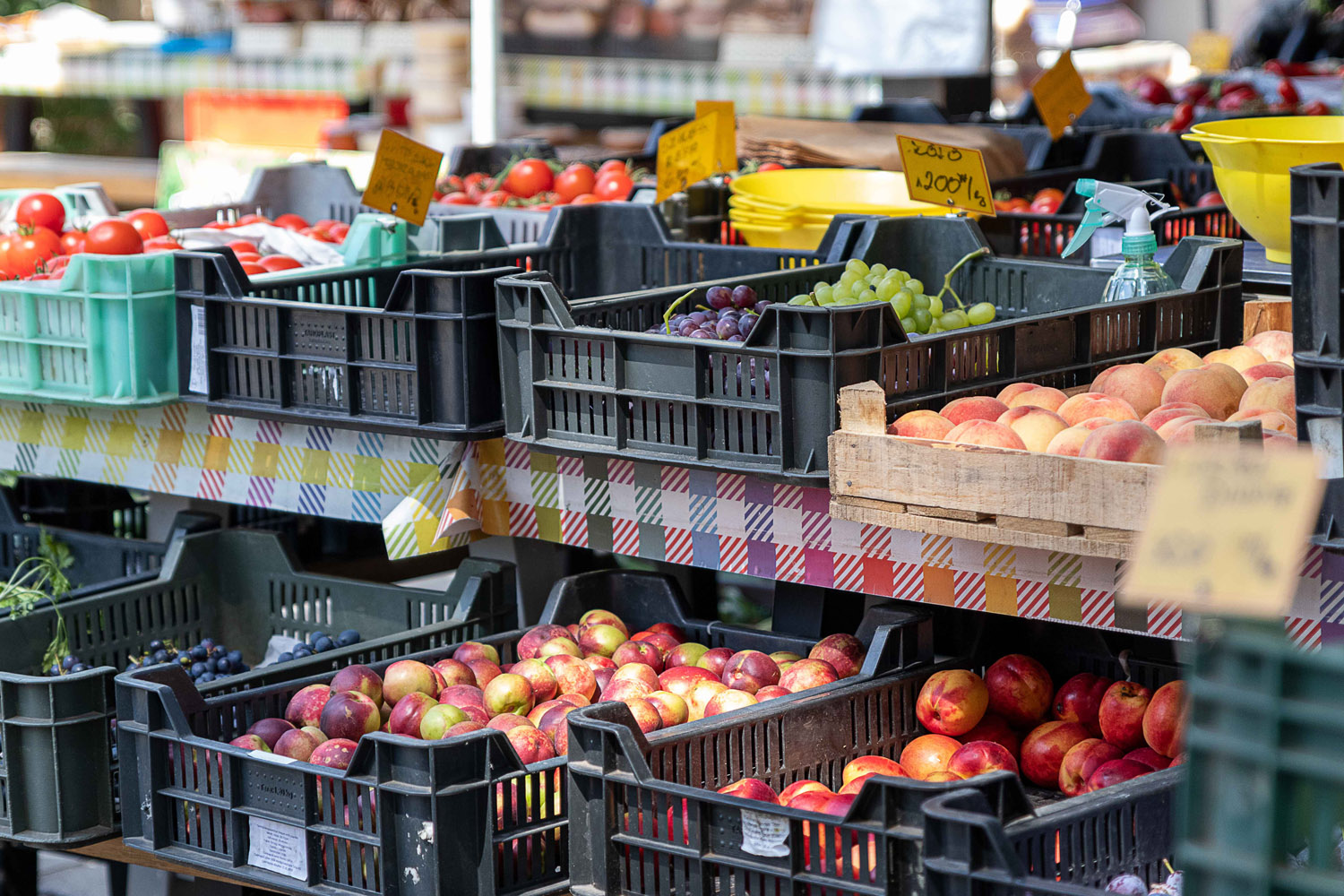 Szőke Dorka fotográfus fotográfus vizsgaremek 