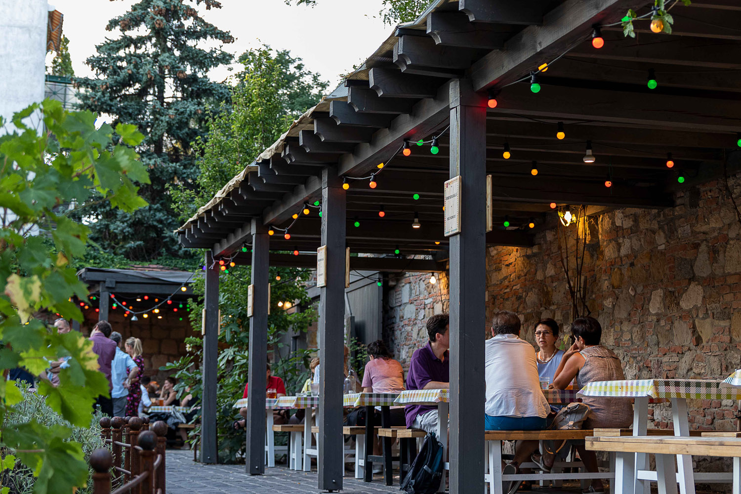 Szőke Dorka fotográfus fotográfus vizsgaremek 