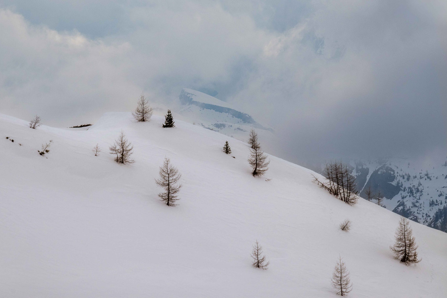 Szőke Dorka fotográfus fotográfus vizsgaremek 
