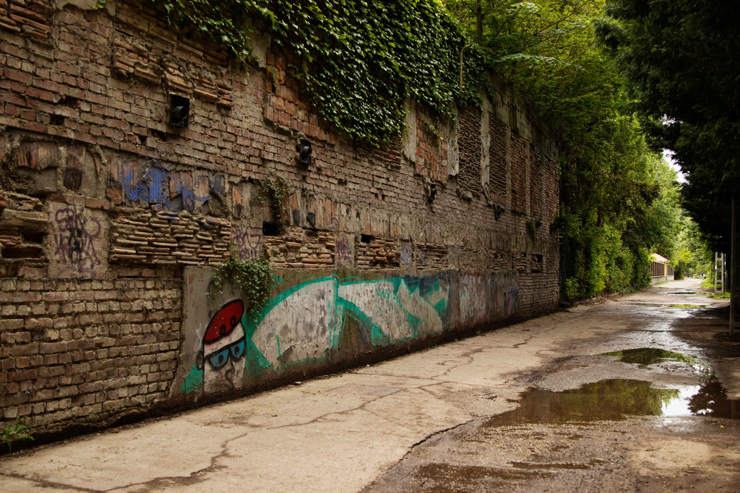 Szőke Dorka fotográfus fotográfus vizsgaremek 