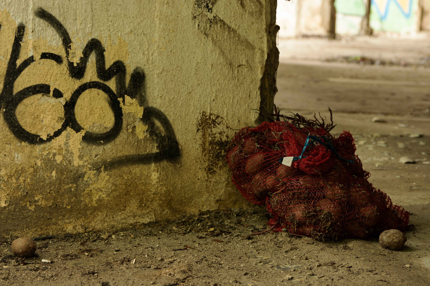 Szőke Dorka fotográfus fotográfus vizsgaremek 