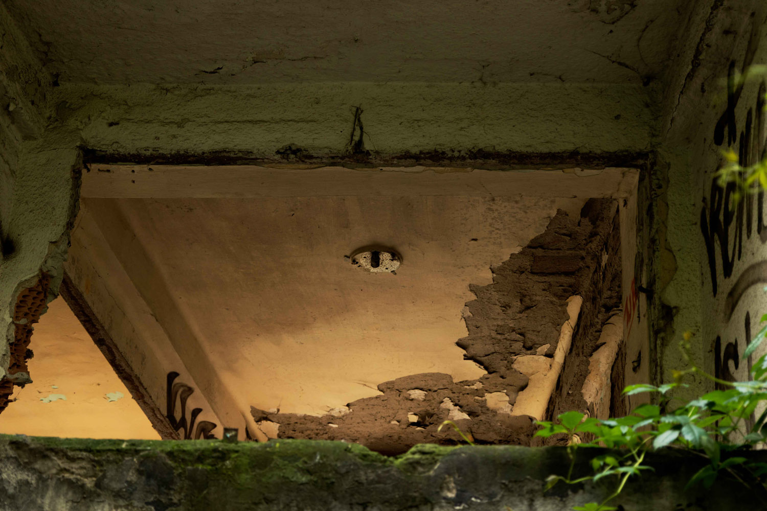 Szőke Dorka fotográfus fotográfus vizsgaremek 